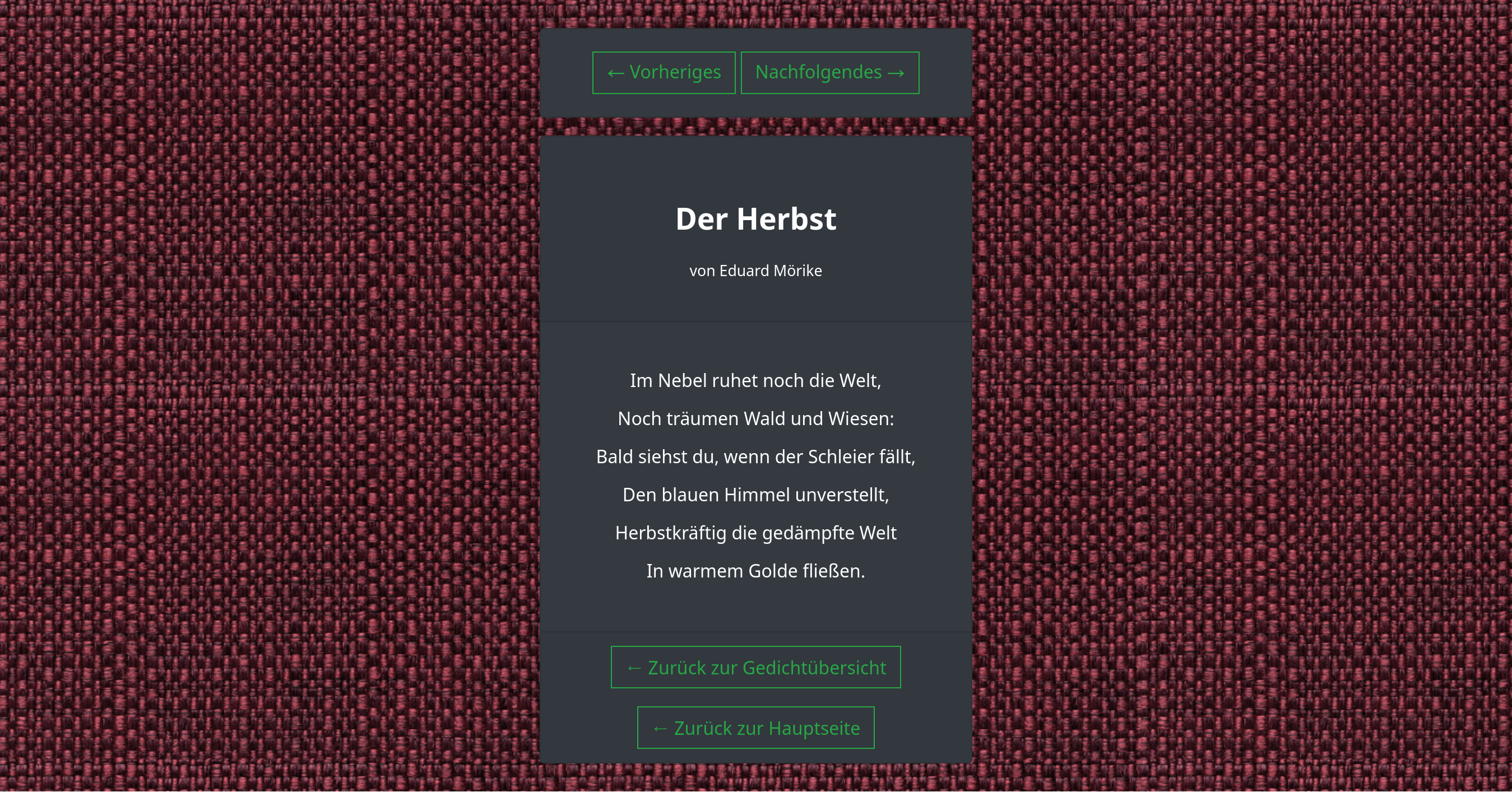 Zwischen Homeschooling und Webdesign - nostalgische Erinnerung an die siebte Klasse